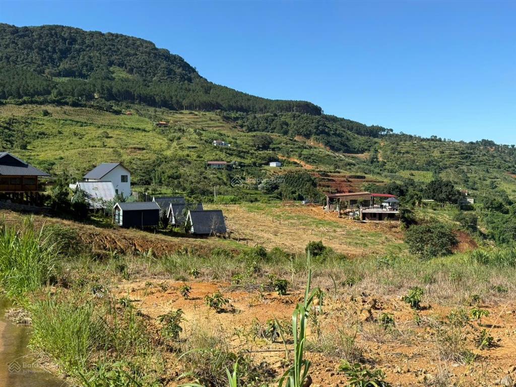 Bán trang trại, khu nghỉ dưỡng tại xã đông thanh, 3,5 tỷ, 1848m2