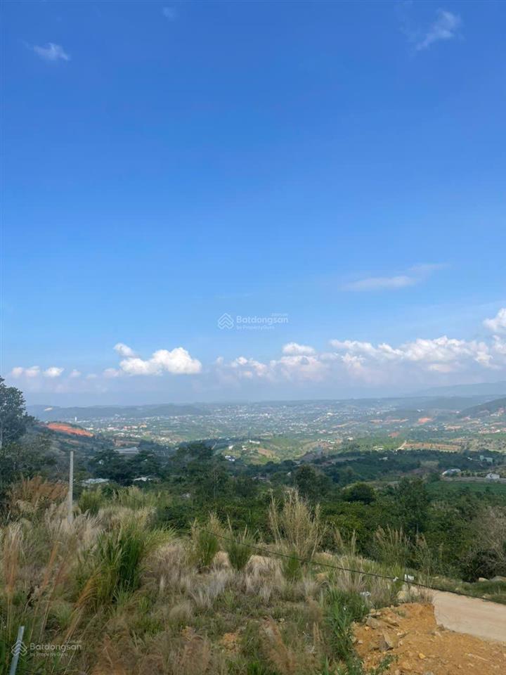 Bán trang trại, khu nghỉ dưỡng tại xã đông thanh, 3,5 tỷ, 1848m2