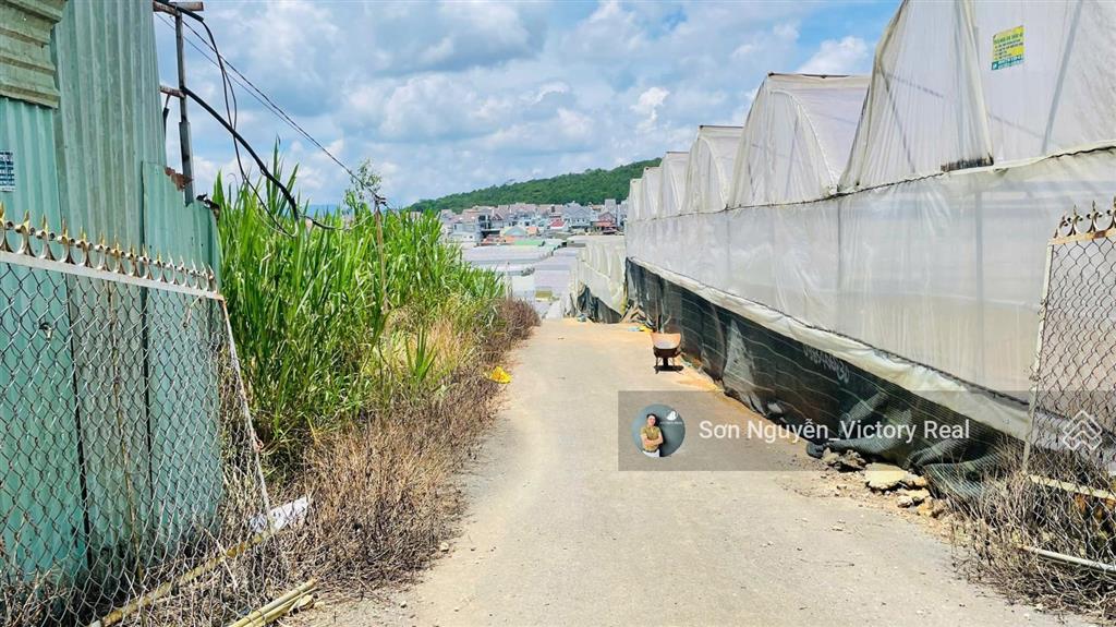 Đất hẻm xe tải thái phiên p. 12, đà lạt full thổ cư, view đẹp, sinh lời cao