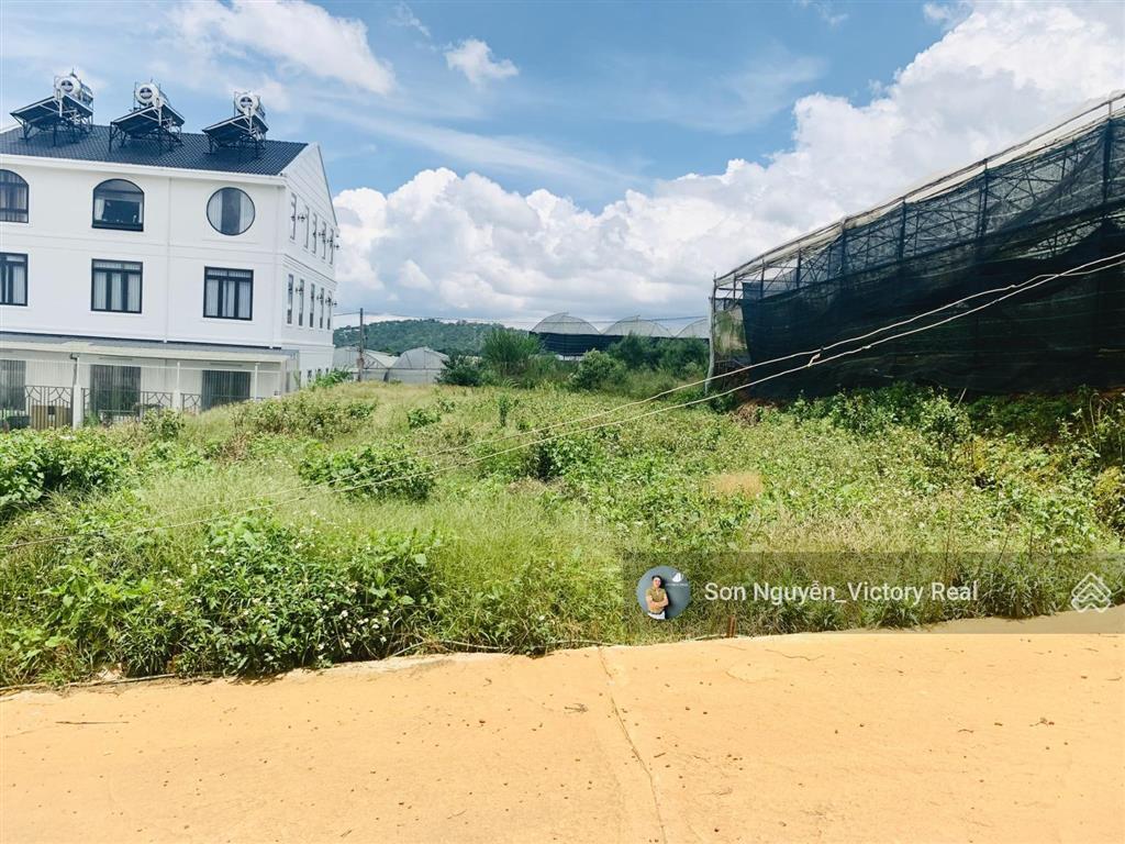 Đất hẻm xe tải thái phiên p. 12, đà lạt full thổ cư, view đẹp, sinh lời cao