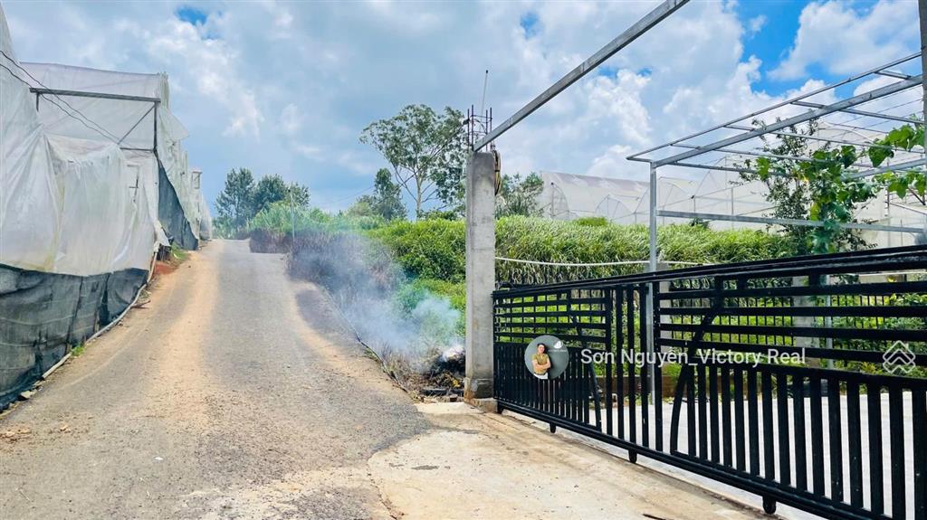 Đất hẻm xe tải thái phiên p. 12, đà lạt full thổ cư, view đẹp, sinh lời cao