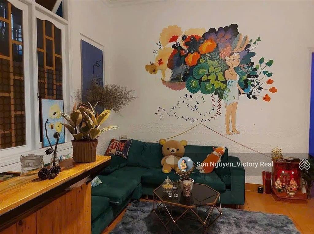 Đặng thái thân homestay mặt tiền 230m2, view vĩnh viễn, giá giảm sâu chỉ còn 8 tỷ!