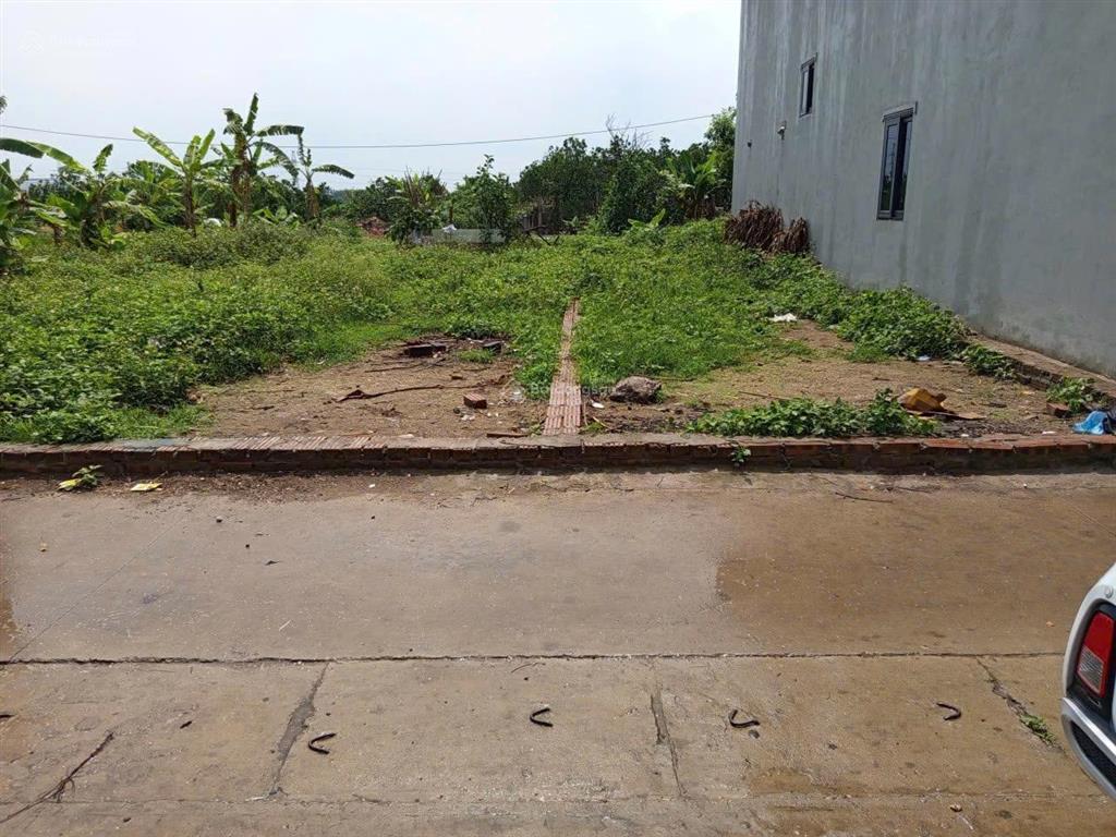 Bán đất tổ 10 quang minh, vị trí bìa làng đẹp khó tìm