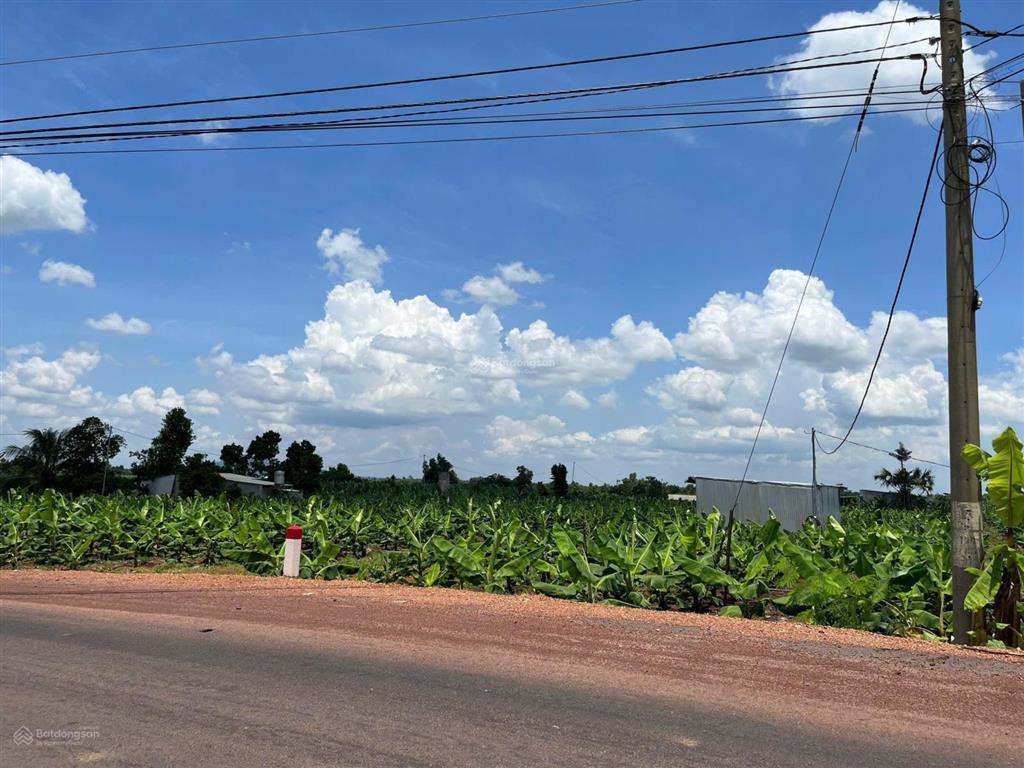 Bán gấp 1,4ha đất vườn mặt tiền, vị trí đẹp, gần núi cúi, giá rẻ hơn định giá ngân hàng 30%