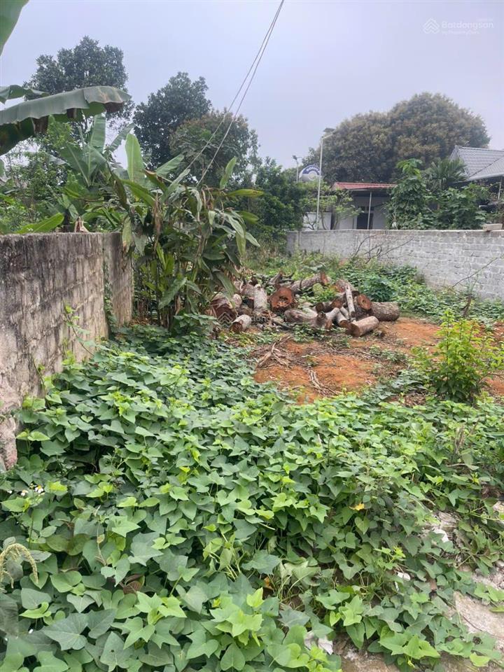 Chính chủ cần bán đất mặt đường nhựa 4 làn xe, trục chính xã vân hoà  sổ đỏ chính chủ