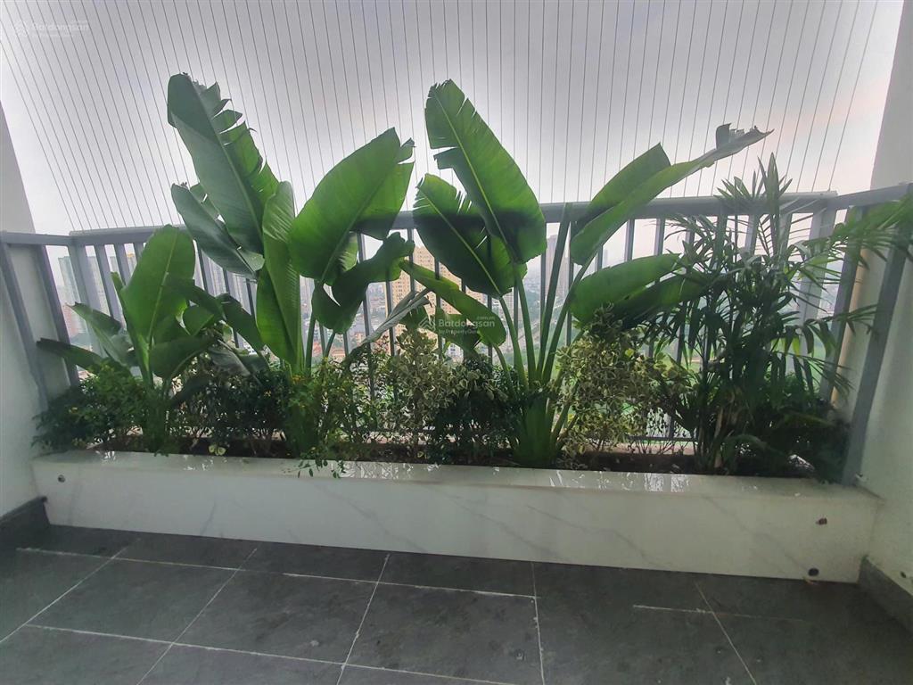 Cho thuê căn hộ ecolife capitol, giá 15 triệu, 110m2, 3pn, 2wc ở tố hữu, nam từ liêm, full nội thất