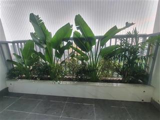 Cho thuê căn hộ ecolife capitol, giá 15 triệu, 110m2, 3pn, 2wc ở tố hữu, nam từ liêm, full nội thất