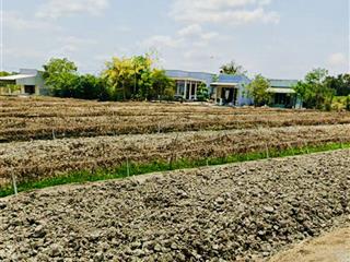 4tỷ9 bán gấp 2.096m hưng long bình chánh | tphcm chỉ 4.9 tỷ thương lượng chính chủ