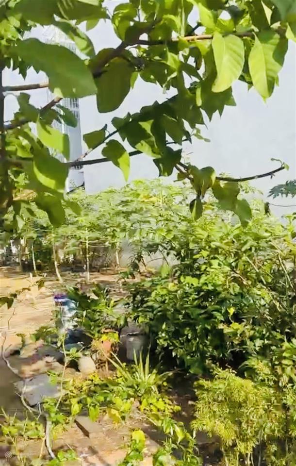 Bán nhà vườn 160m2 kdc an phú tây 47ha + vườn cây kế nhà bình chánh tphcm