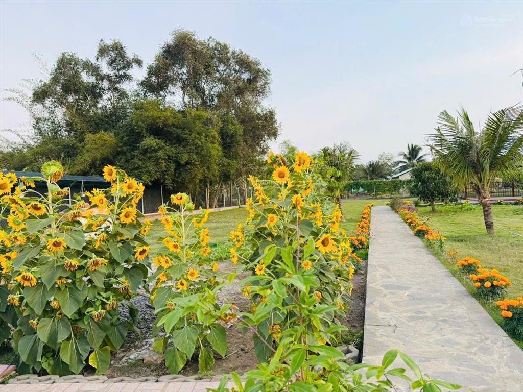 8,6 tỷ bán nhà vườn 2076m2 tân quý tây, bình chánh, tphcm