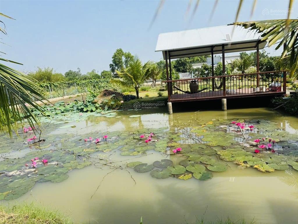 8,6 tỷ bán nhà vườn 2076m2 tân quý tây, bình chánh, tphcm