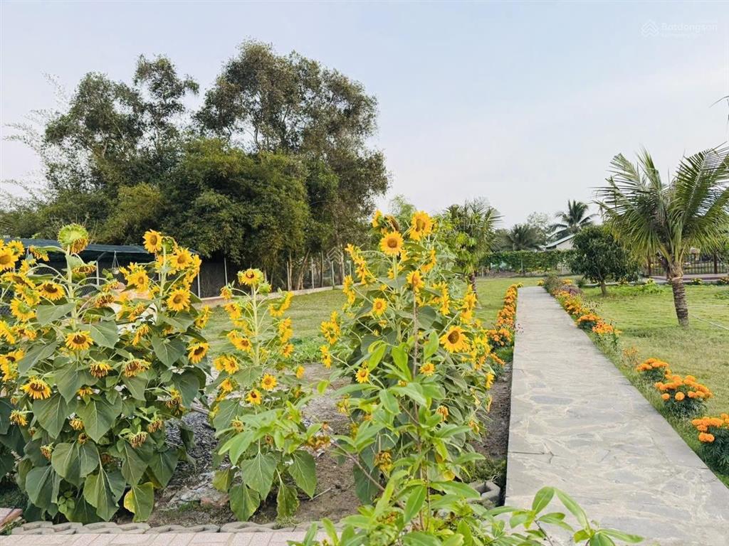 8,6 tỷ bán nhà vườn 2076m2 tân quý tây, bình chánh, tphcm