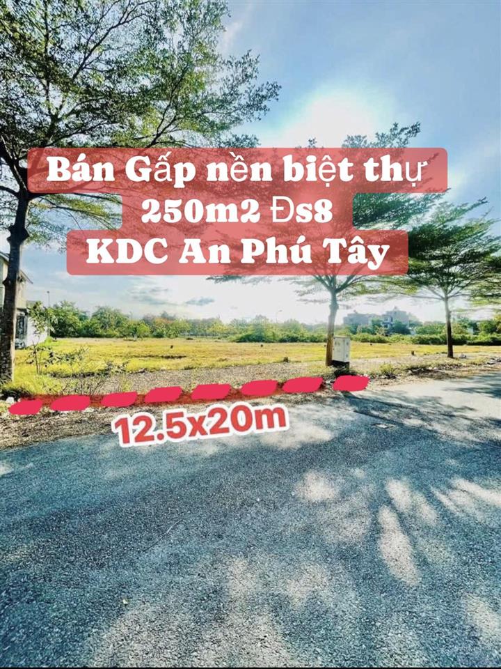 Bán nền biệt thự 250m² 30,5 triệu /m2 kdc an phú tây bình chánh tphcm đường số 8