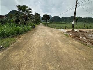 Bán đất tại xã khánh thủy, yên khánh, ninh bình, 9,5 tỷ, 1000m2