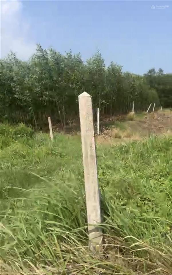 Đất 1.800m2 xã đất đỏ bà rịa cách bánh canh long hương 15km
