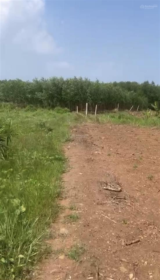 Đất 1.800m2 xã đất đỏ bà rịa cách bánh canh long hương 15km