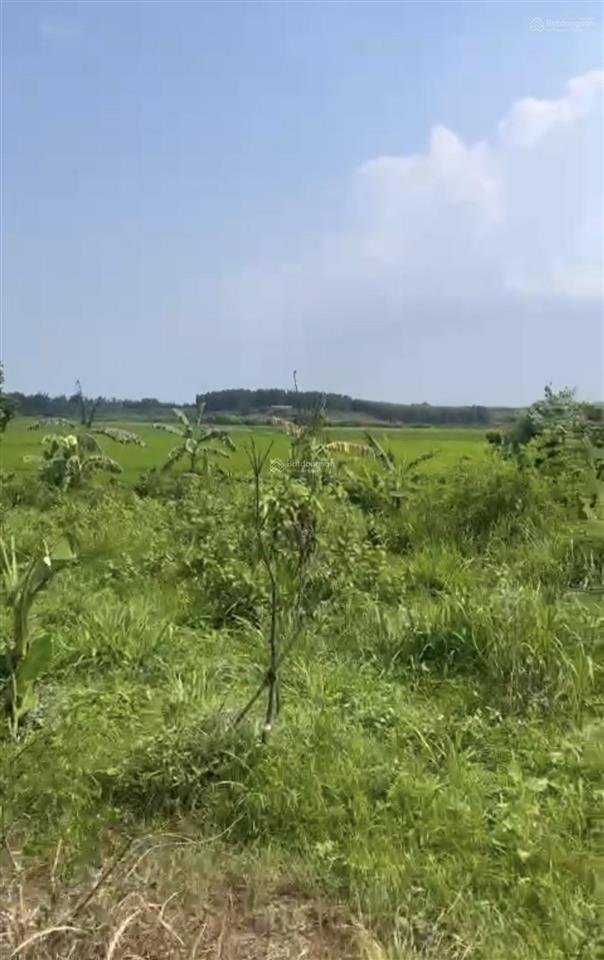 Đất 1.800m2 xã đất đỏ bà rịa cách bánh canh long hương 15km