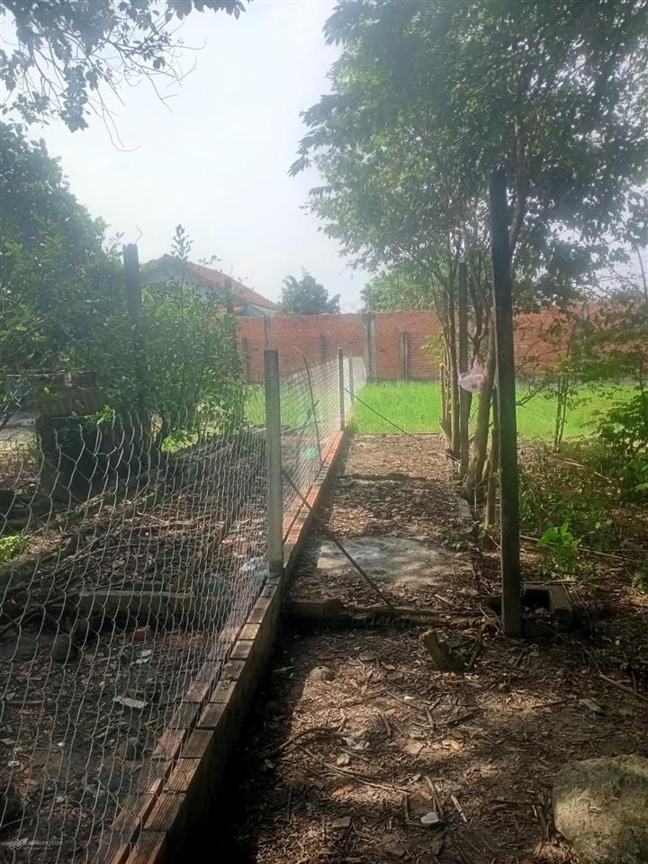 Đất hóc môn rẻ hơn đất long an