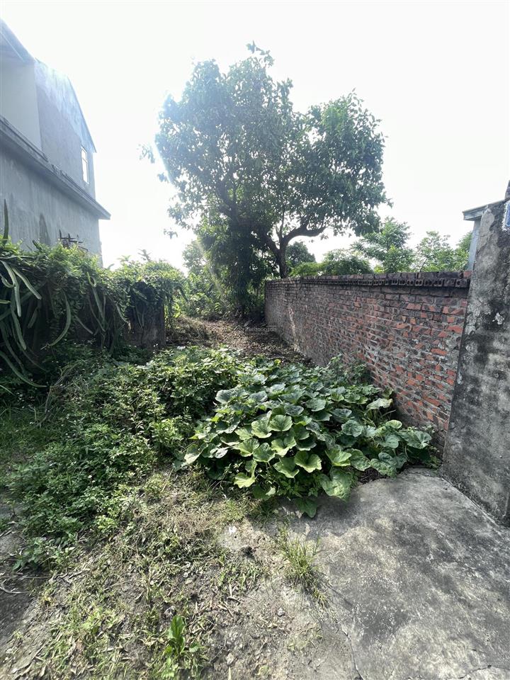 Bán đất khu hòa bình, mạo khê, đông triều