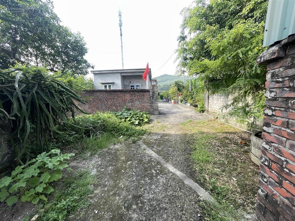 Bán đất khu hòa bình, mạo khê, đông triều