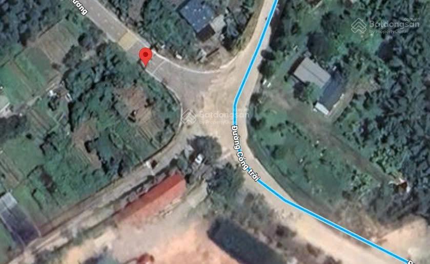 Ngân hàng phát mãi lô đất mặt đường tràng hương