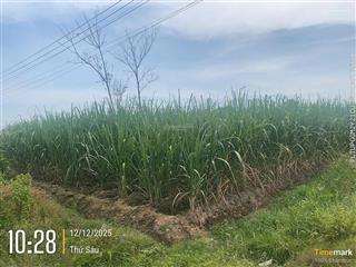 Bán đất tại xuân đông, cẩm mỹ, đồng nai, 12 tỷ, 7129 m2