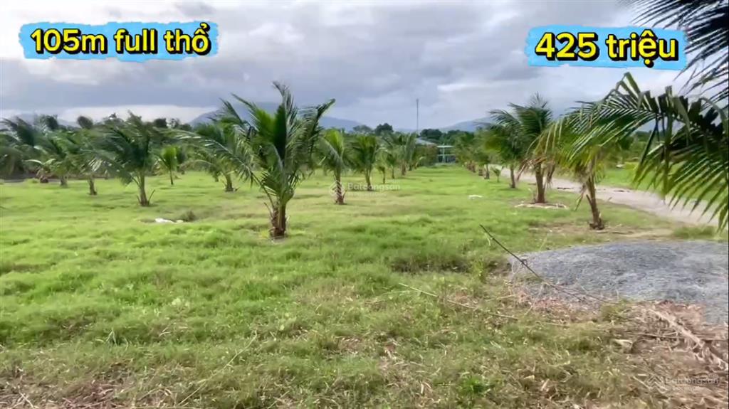 Đất nhà vườn full thổ cư gần chợ cam phước đông giá đầu tư chỉ 425 triệu