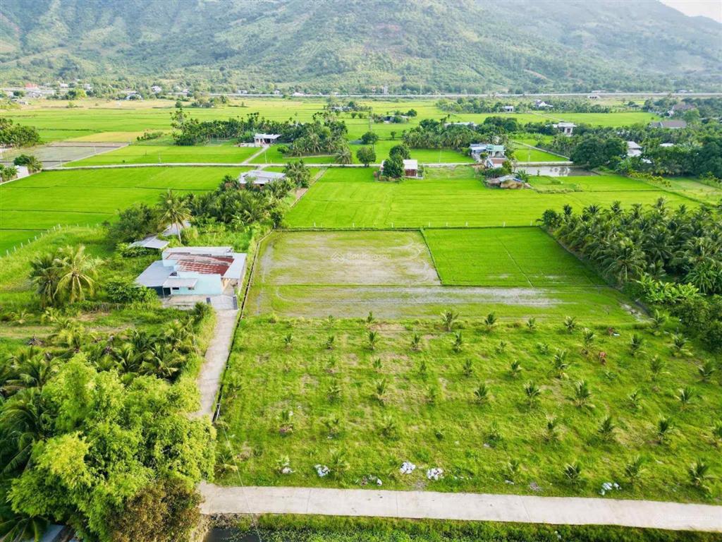 Đất nhà vườn full thổ cư gần chợ cam phước đông giá đầu tư chỉ 450 triệu