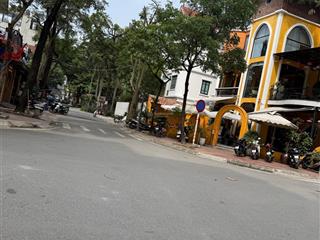 Bán biệt thự ngoại giao đoàn lô góc kinh doanh 236m chỉ 86,5 tỷ 0914 374 ***