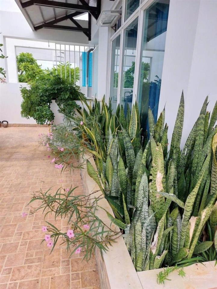 Cho thuê penthouse 5pn, 5wc, 360m2 tại new saigon  hoàng anh gia lai 3