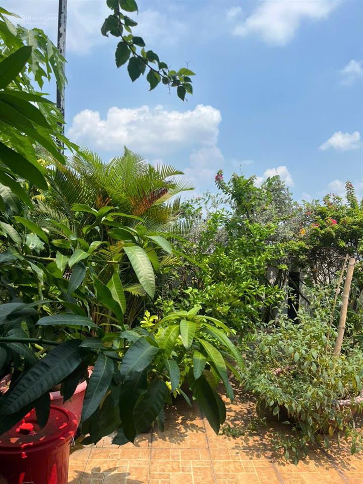 Cho thuê penthouse 5pn, 5wc, 360m2 tại new saigon  hoàng anh gia lai 3
