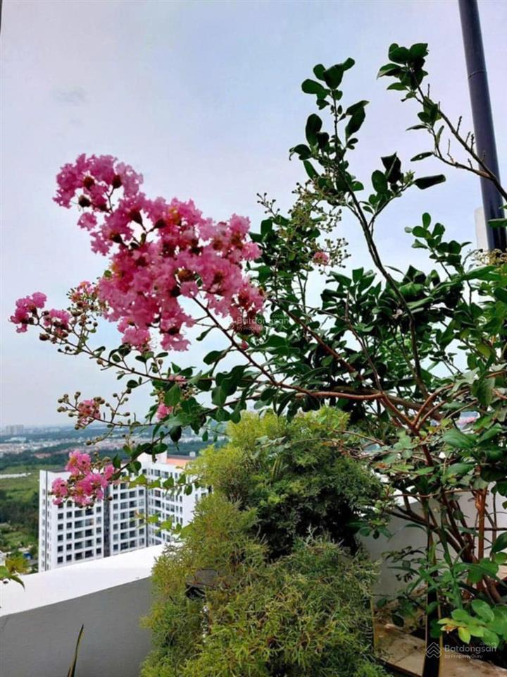 Cho thuê penthouse 5pn, 5wc, 360m2 tại new saigon  hoàng anh gia lai 3