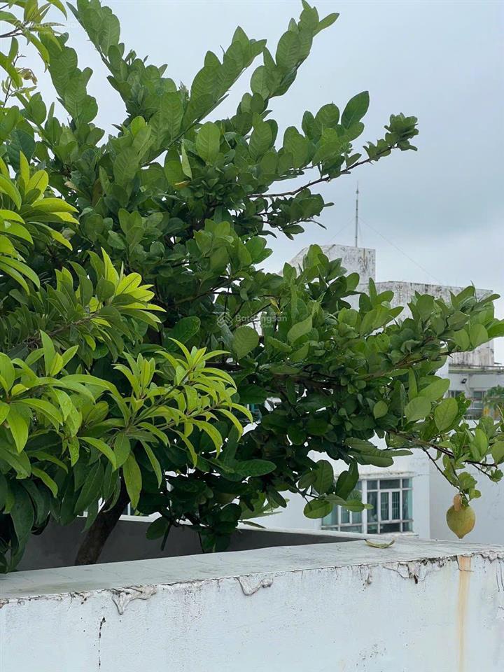 Cho thuê cc new saigon  hoàng anh gia lai 3, 24 triệu/tháng, 360m2, 5pn, 4wc