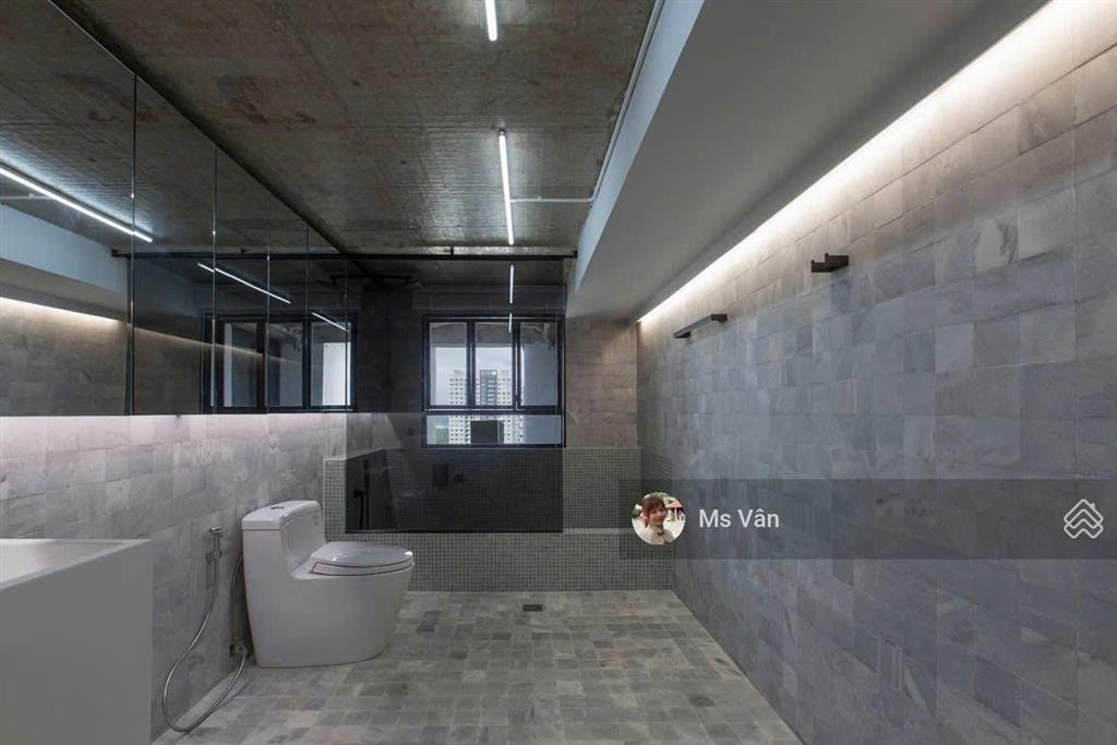 Cho thuê lofthouse lớn tại phú hoàng anh, 41 triệu vnd/tháng, 250m2