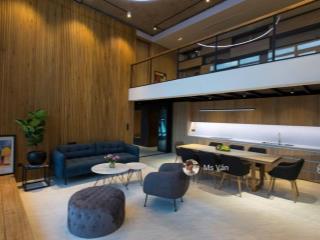 Cho thuê lofthouse lớn tại phú hoàng anh, 41 triệu vnd, 250m2