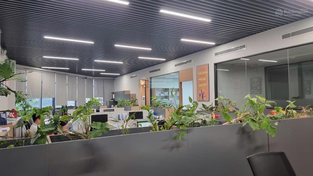 Phải nhanh! toà building trần thái tông, dt 180m2 x 8 tầng mt 8,8m, thang máy, pccc, gpxd, 250tr/th