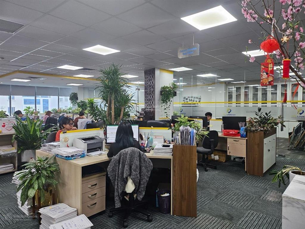 Thật 100%! building dịch vọng 160m x 7t, 1 hầm, thang máy, pccc, dt 250tr/th, ô tô, lô góc thoáng