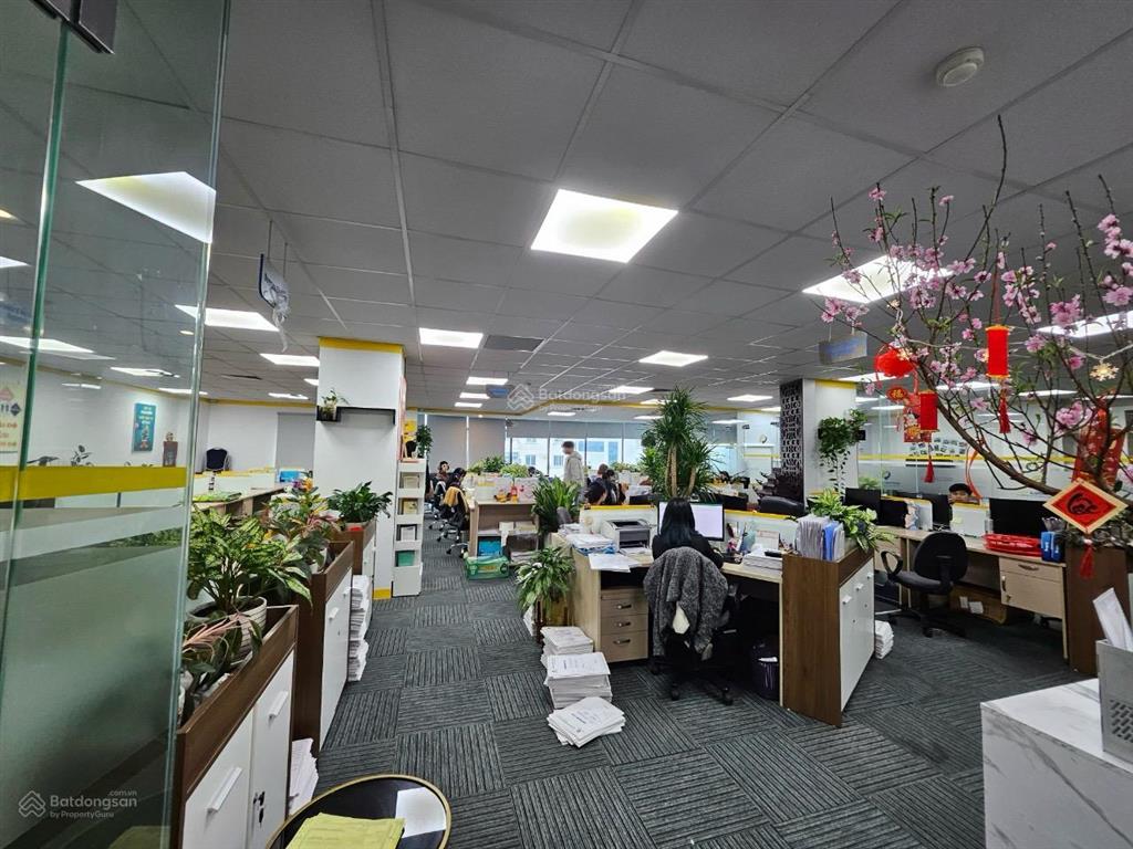 Thật 100%! building dịch vọng 160m x 7t, 1 hầm, thang máy, pccc, dt 250tr/th, ô tô, lô góc thoáng