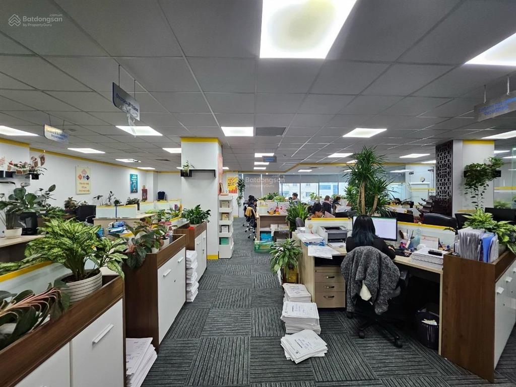 Thật 100%! building dịch vọng 160m x 7t, 1 hầm, thang máy, pccc, dt 250tr/th, ô tô, lô góc thoáng