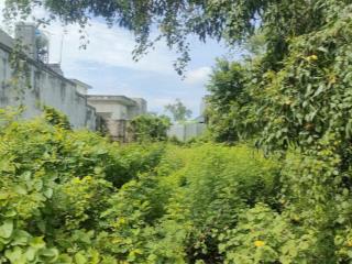 Ngã ba bà ký, hương lộ 12dt 952m có 100 thổ cưgiá 20 tỷ  long phước, long thành