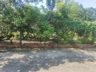 Đất 2 mặt tiền  dt 583.6m2 có 561m2 thổ  giá 7 tỷ 3 an phước, long thành