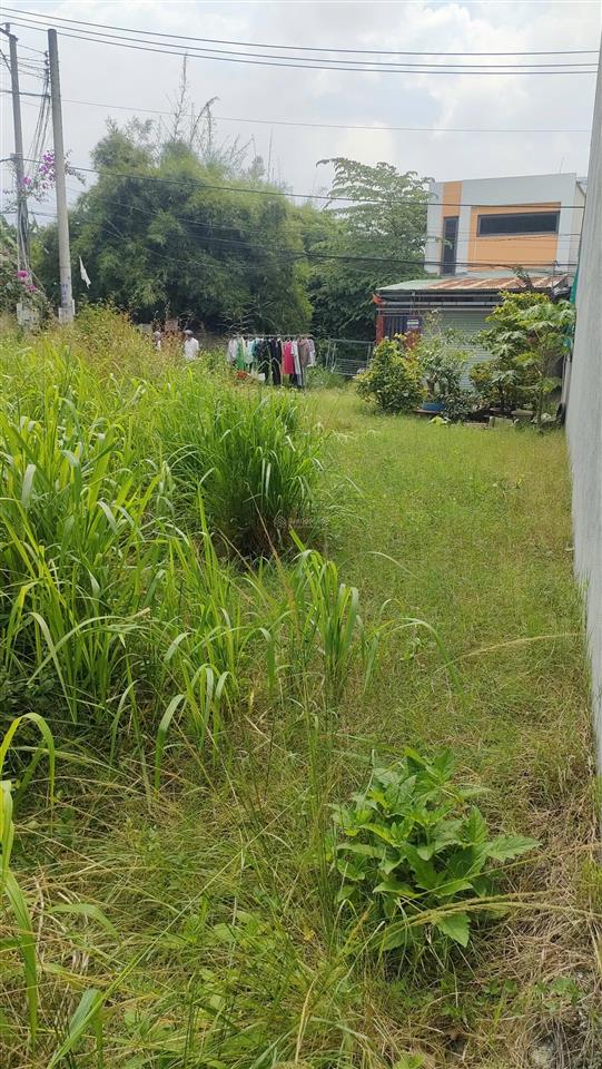 Bán đất nền 2 mặt tiền 192m 100 thổ3 tỉ 6 an phước, long thành