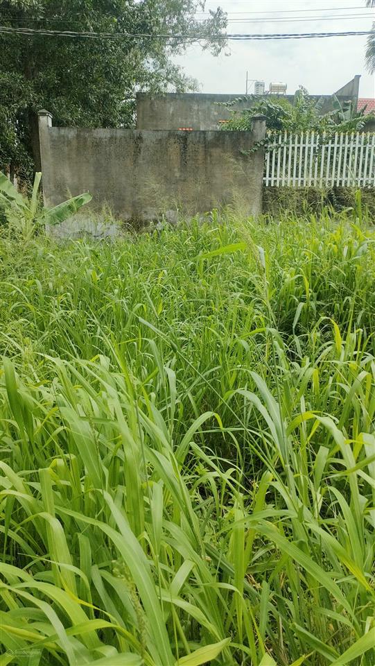 Bán đất nền 2 mặt tiền 192m 100 thổ3 tỉ 6 an phước, long thành