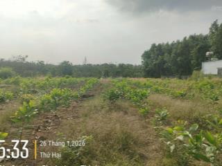 Ngộp ngộp ngân hàng ra gấp 4.381,7m2 đất bàu cạn long thành ngang 60m có 300m2 thổ cư  giá 16 tỷ