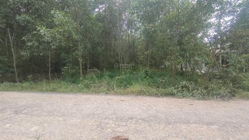 Đất hỗn hợp sân bay diện tích lớn 2.753m có 100 thổ cư giá rẻ 5tr/m long anlong thành