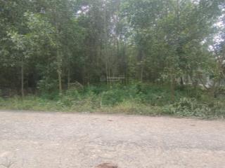 Đất hỗn hợp sân bay diện tích lớn 2.753m có 100 thổ cư giá rẻ 5tr/m long anlong thành