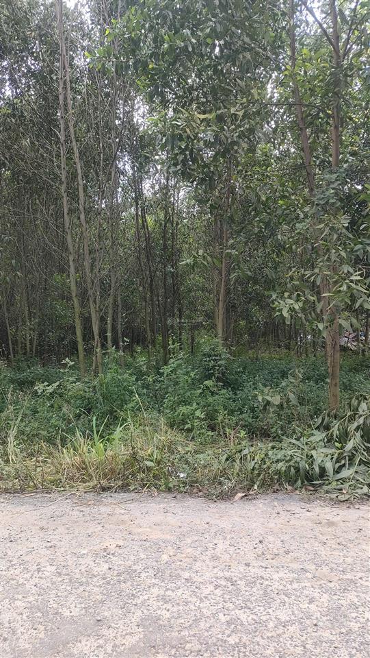 Đất hỗn hợp sân bay diện tích lớn 2.753m có 100 thổ cư giá rẻ 5tr/m long anlong thành