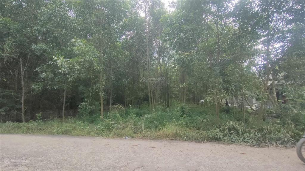 Đất hỗn hợp sân bay diện tích lớn 2.753m có 100 thổ cư giá rẻ 5tr/m long anlong thành