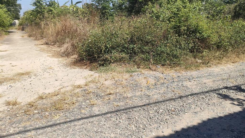 Đất ngộp nặng ra gấp  bên hông khu đô thị stc dt 519.4m2  giá 5,2 tỷ  bình sơn  long thành