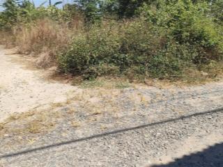 Đất ngộp nặng ra gấp  bên hông khu đô thị stc dt 519.4m2  giá 5,2 tỷ  bình sơn  long thành